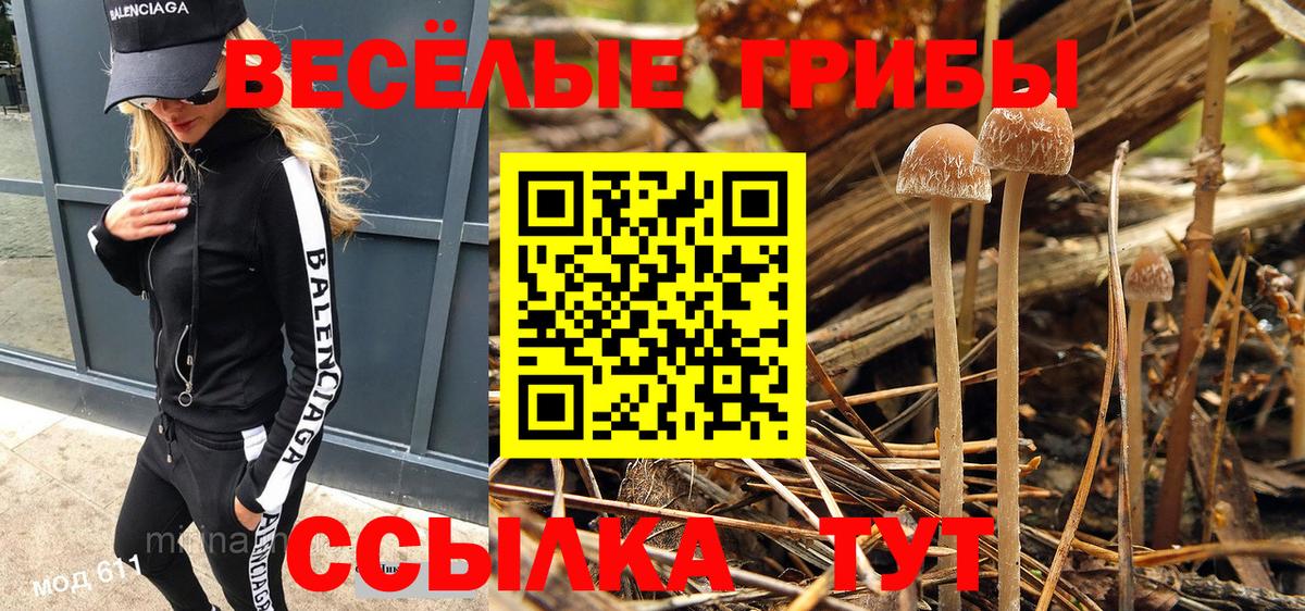 Галлюциногенные грибы мухоморы  Галлюциногенные грибы Cubensis  Вольск  Вход с VPN 